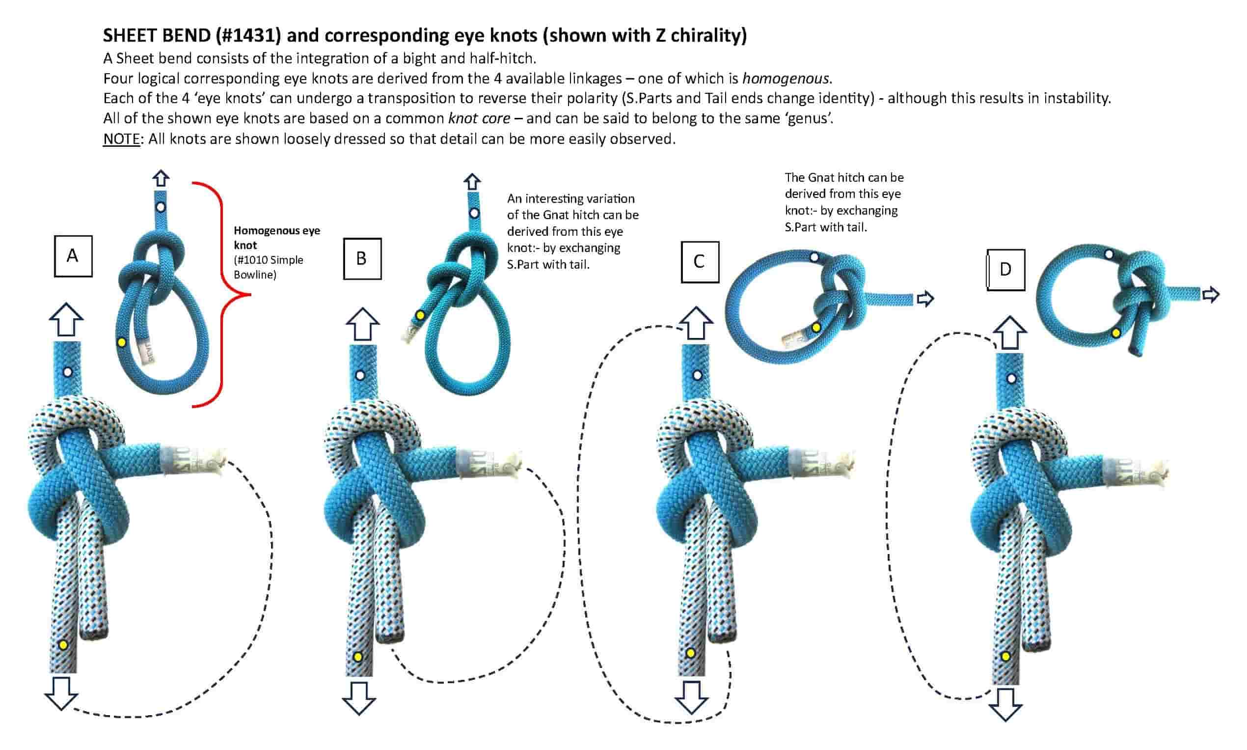 Sheetbend_Corresponding-eyeknots_WEB.jpg