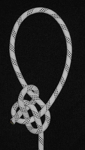 Lee two collar bowline (H).jpg