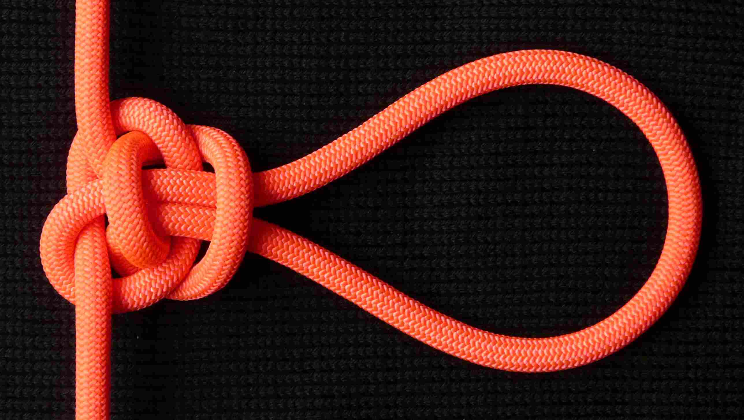 Sheepshank loop (2).JPG