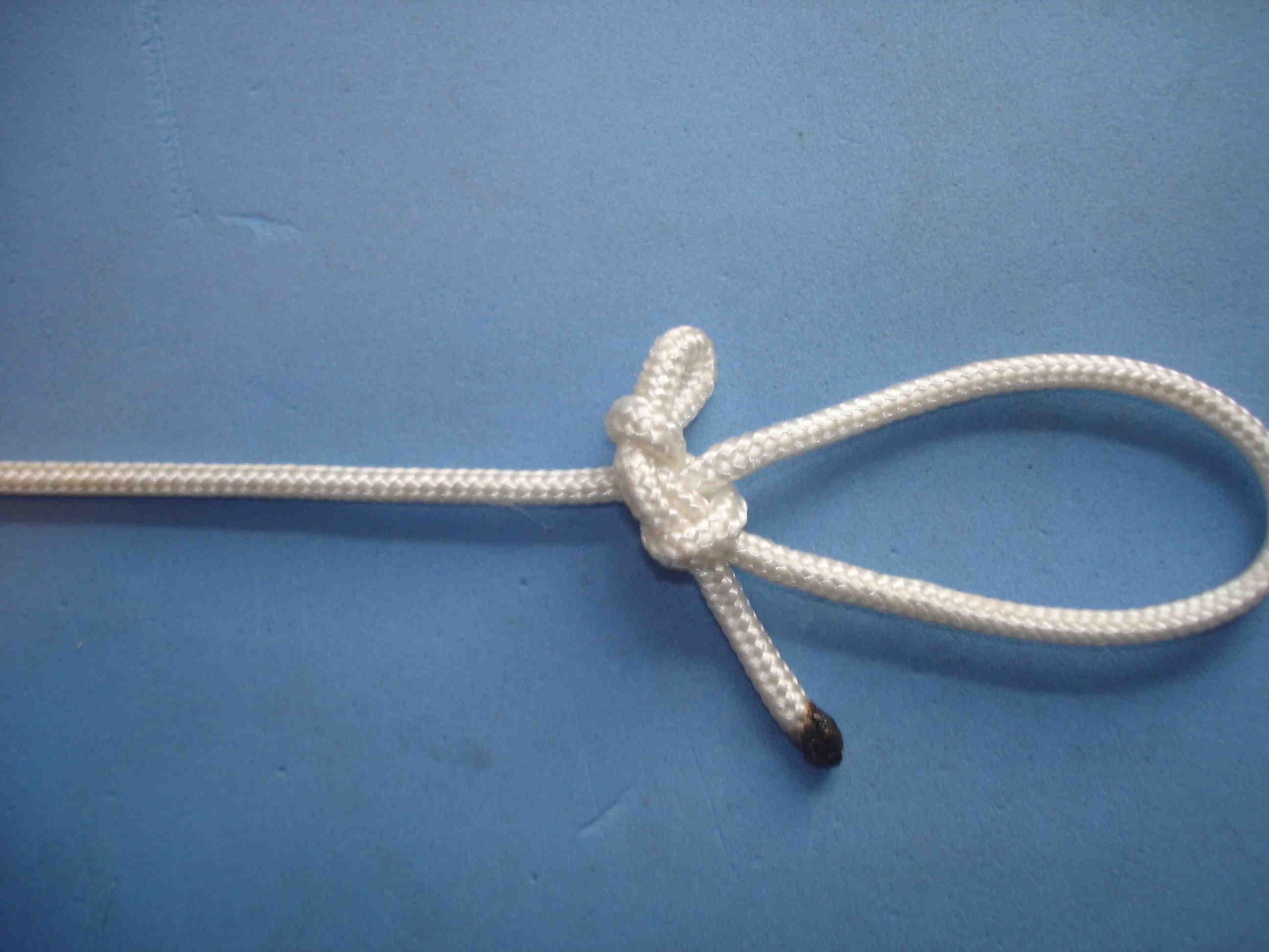 Slippery Clove Loop 3.JPG