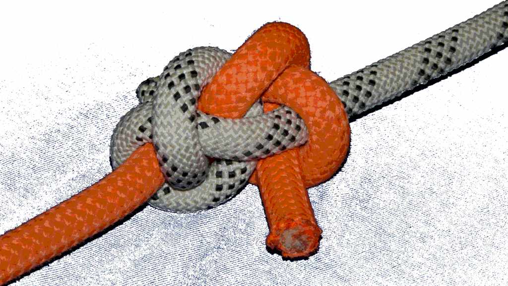 Retucked Whatknot (variation B)(side front view).JPG