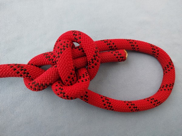 Transposed munter X bwl_front.jpg