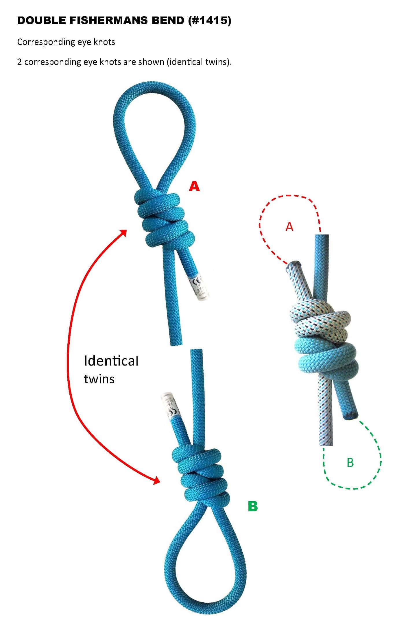 DOUBLE FISHERMANS BEND_Corresponding eye knots_identical twins_WEB.jpg