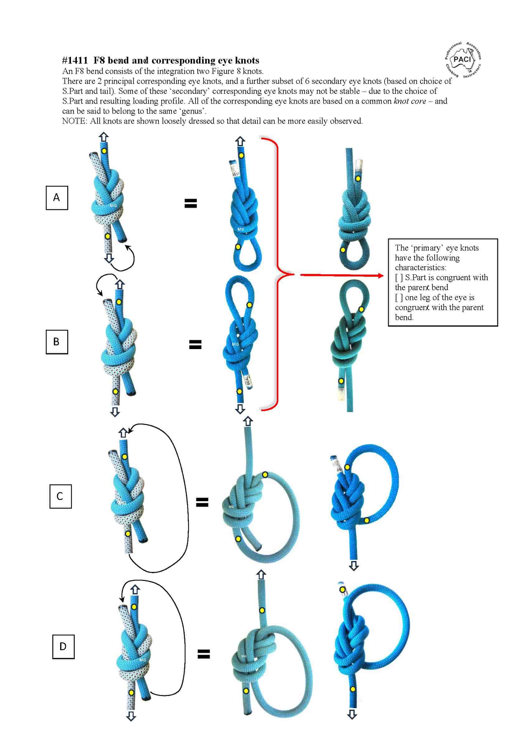 F8-Bend_Corresponding_Eye-knots-min.jpg