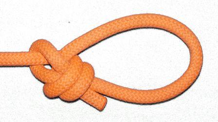 Double,crossed coils (common, left hand) bowline (back view).jpg