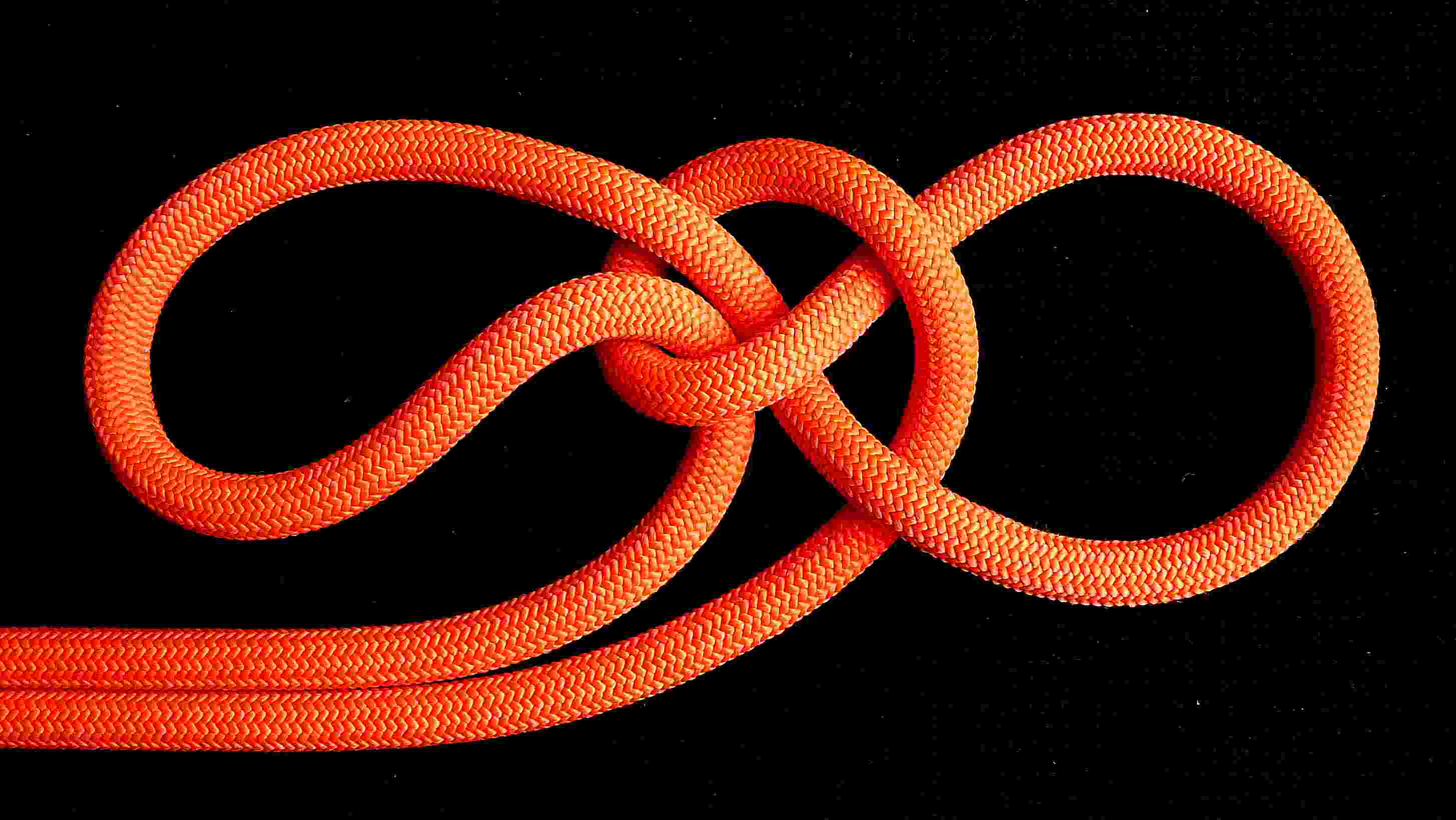 .left bight=collar, right bight=eye.JPG