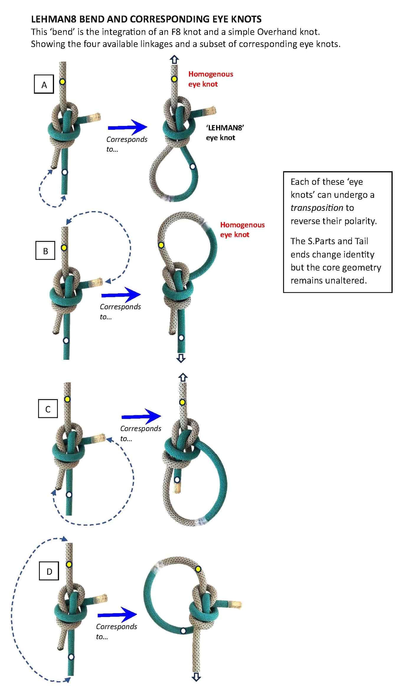 LEHMAN8 BEND AND CORRESPONDING EYE KNOTS_WEB.jpg