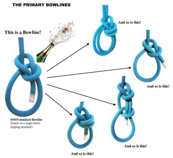 BOWLINES_PRIMARY.jpg