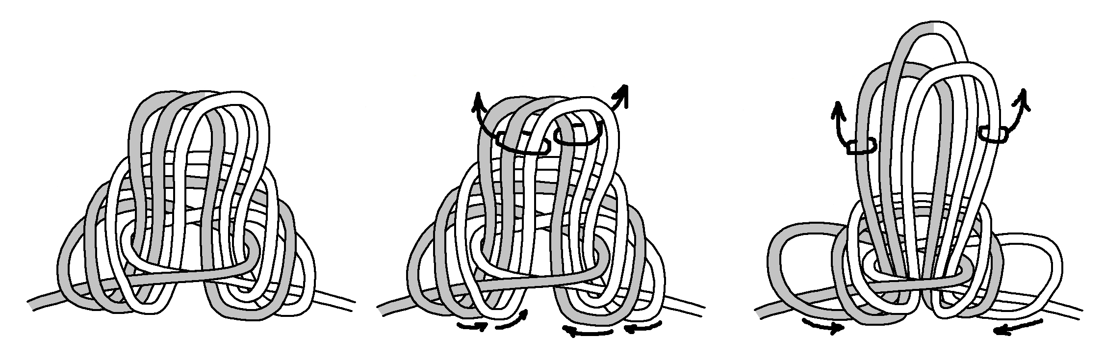 Butterfly, Single to Triple Loops B.png