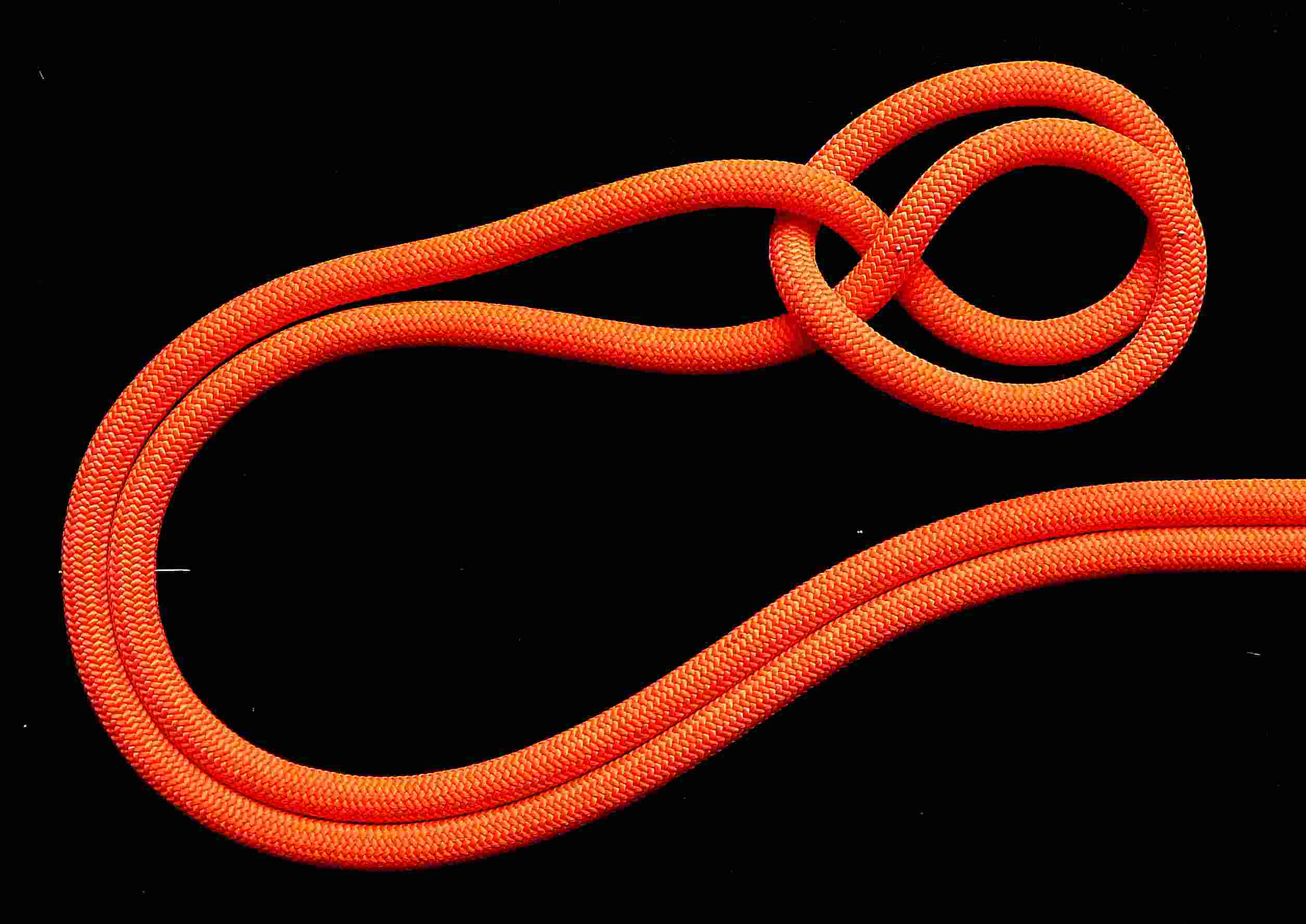 2. The BC hitch before the haltering of the collar.JPG