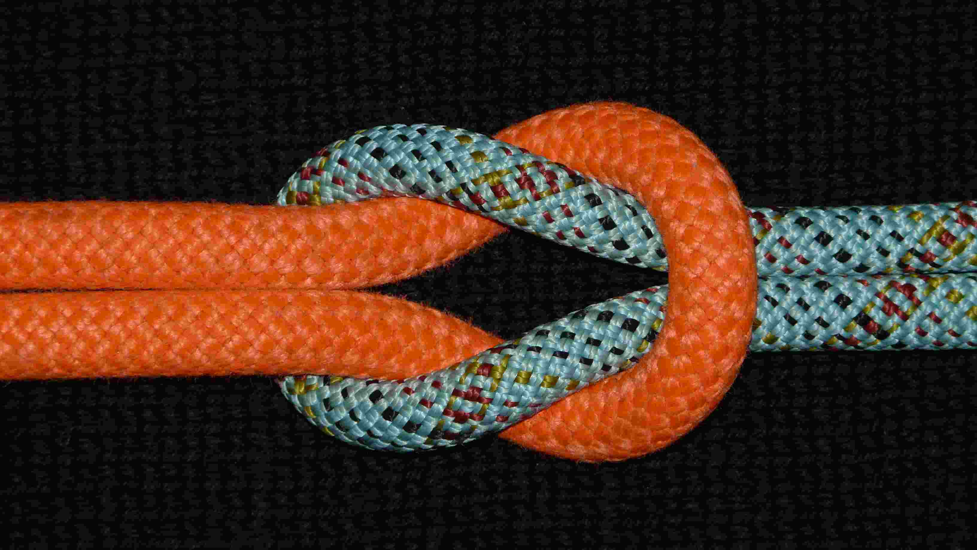 eye-to-eye link, or whatever.JPG