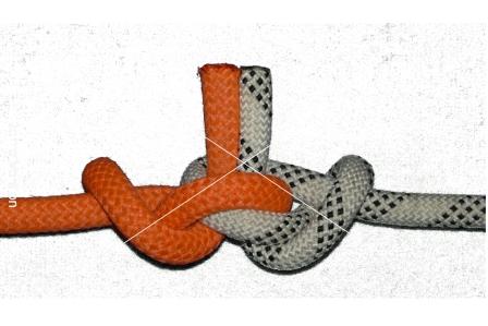 fig. 8-Apline butterfly bend (b)(back view).jpg