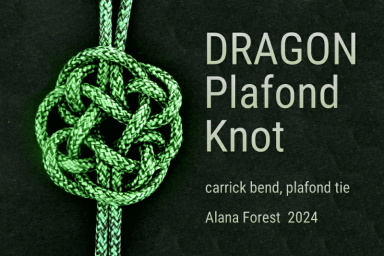 2024dragon plaf3x4carrick.jpg
