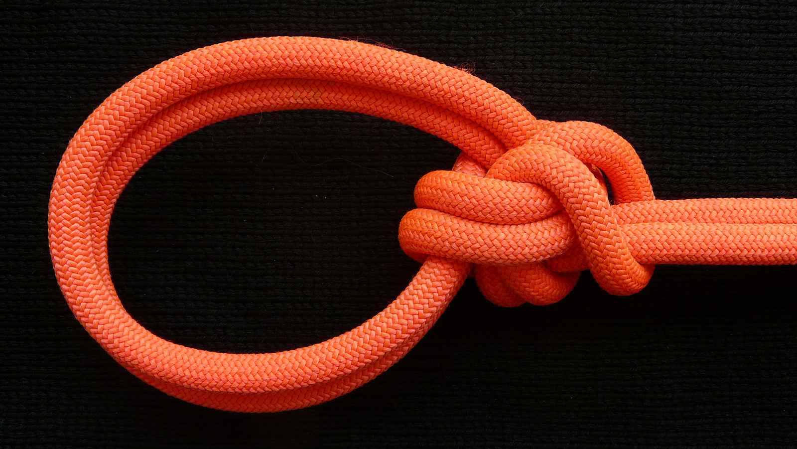 Double Bowline (2).JPG