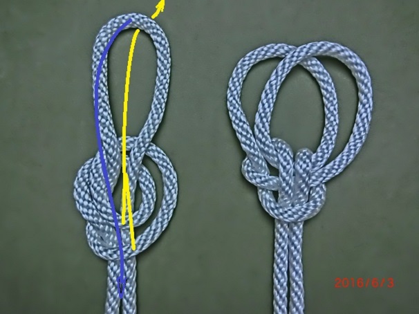 Lee's Double loop knot (V2).JPG