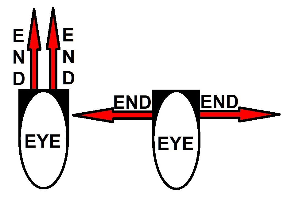 Convergent Ends - Divergent Ends.jpg