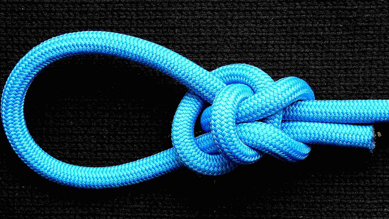 Clove TIB bowline (1).JPG