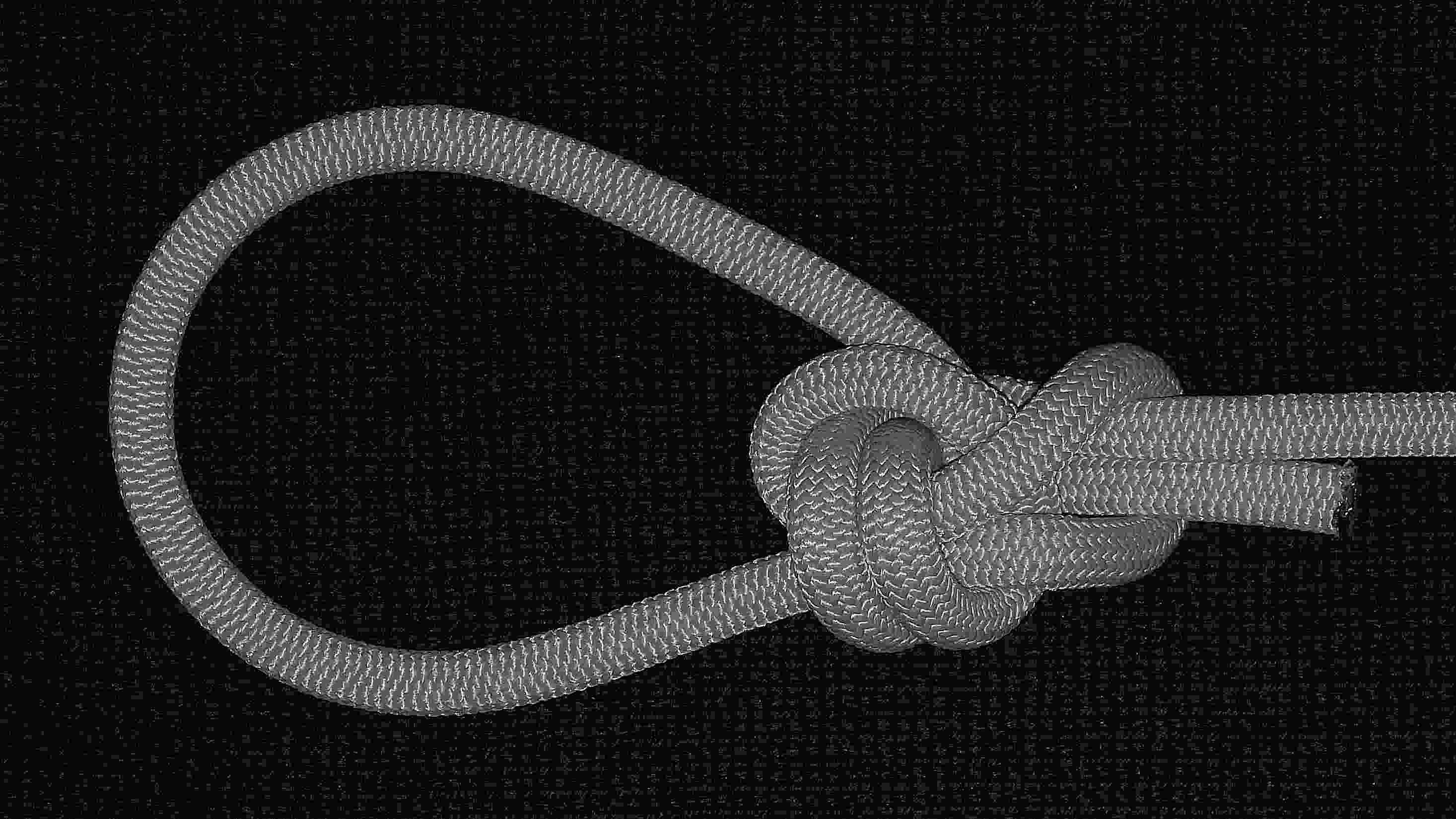 Single TIB bowline (B&W).JPG