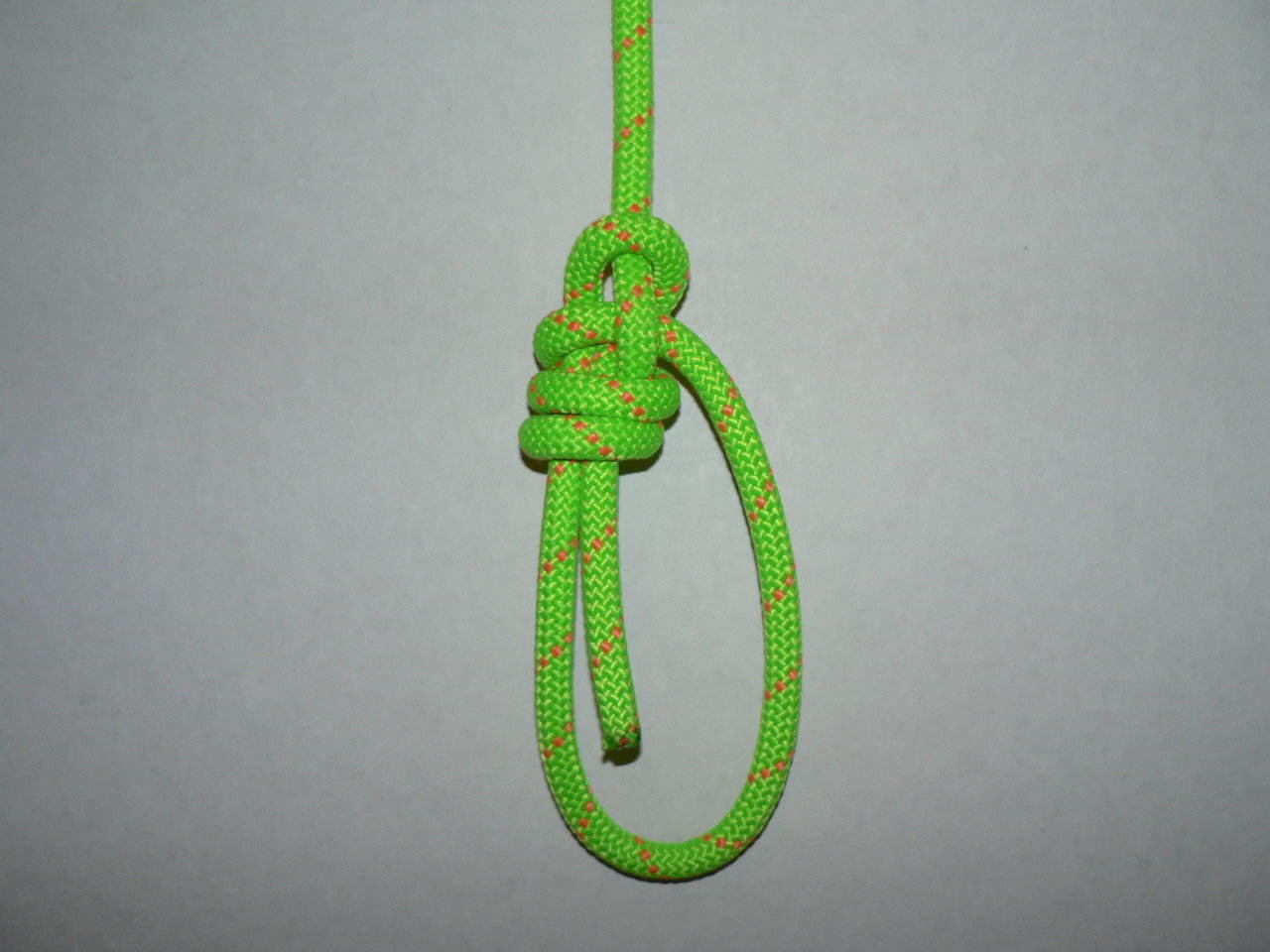 Tresse Bowline - Coil Over S.Part (rear view).jpg