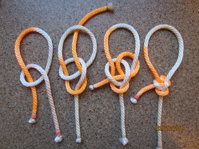 Lee s Double simple collar loop.JPG