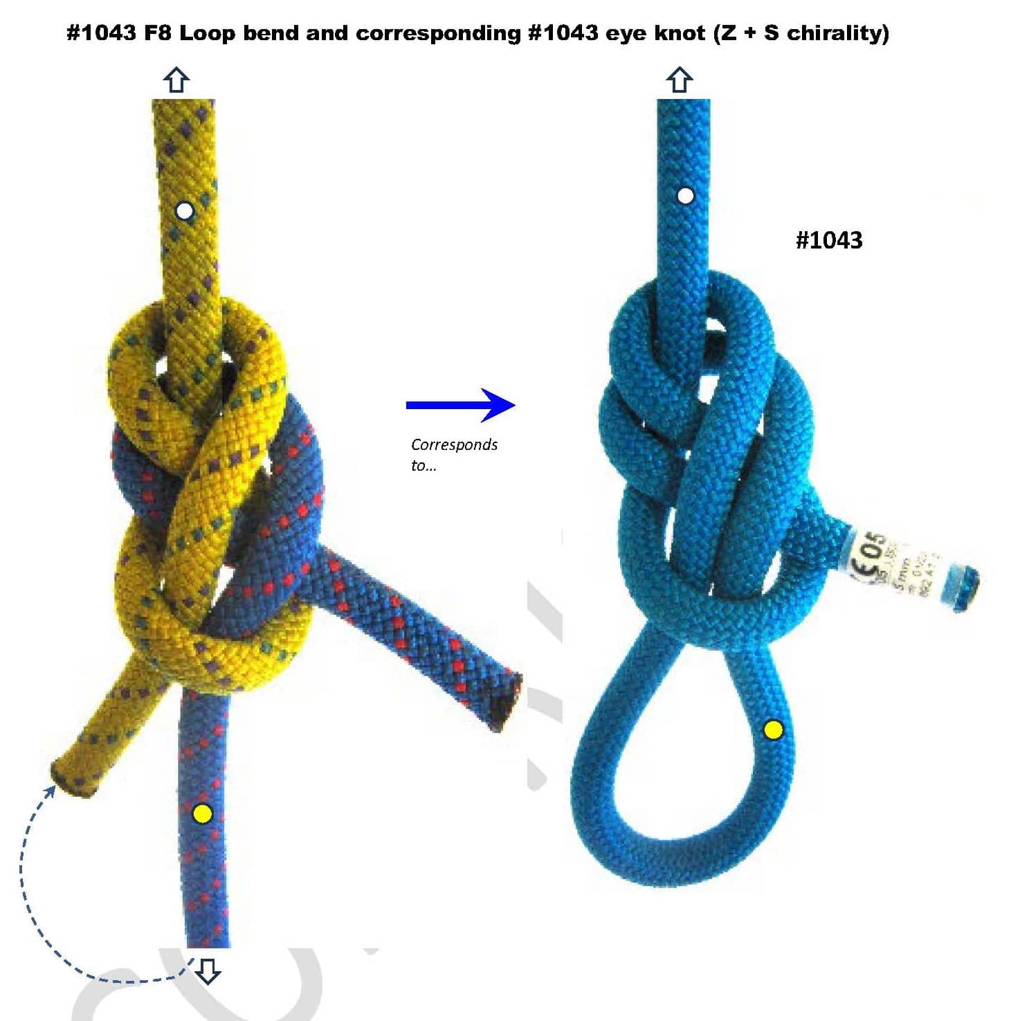 F8-Loop-bend_1043_corresponding eye knot-min.jpg