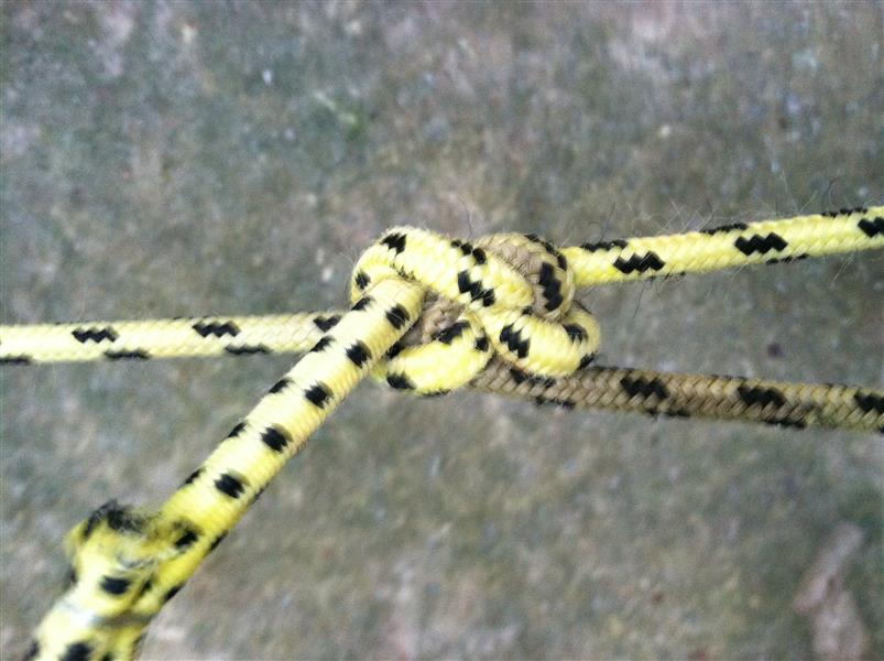 IMG_1900 (Custom).JPG