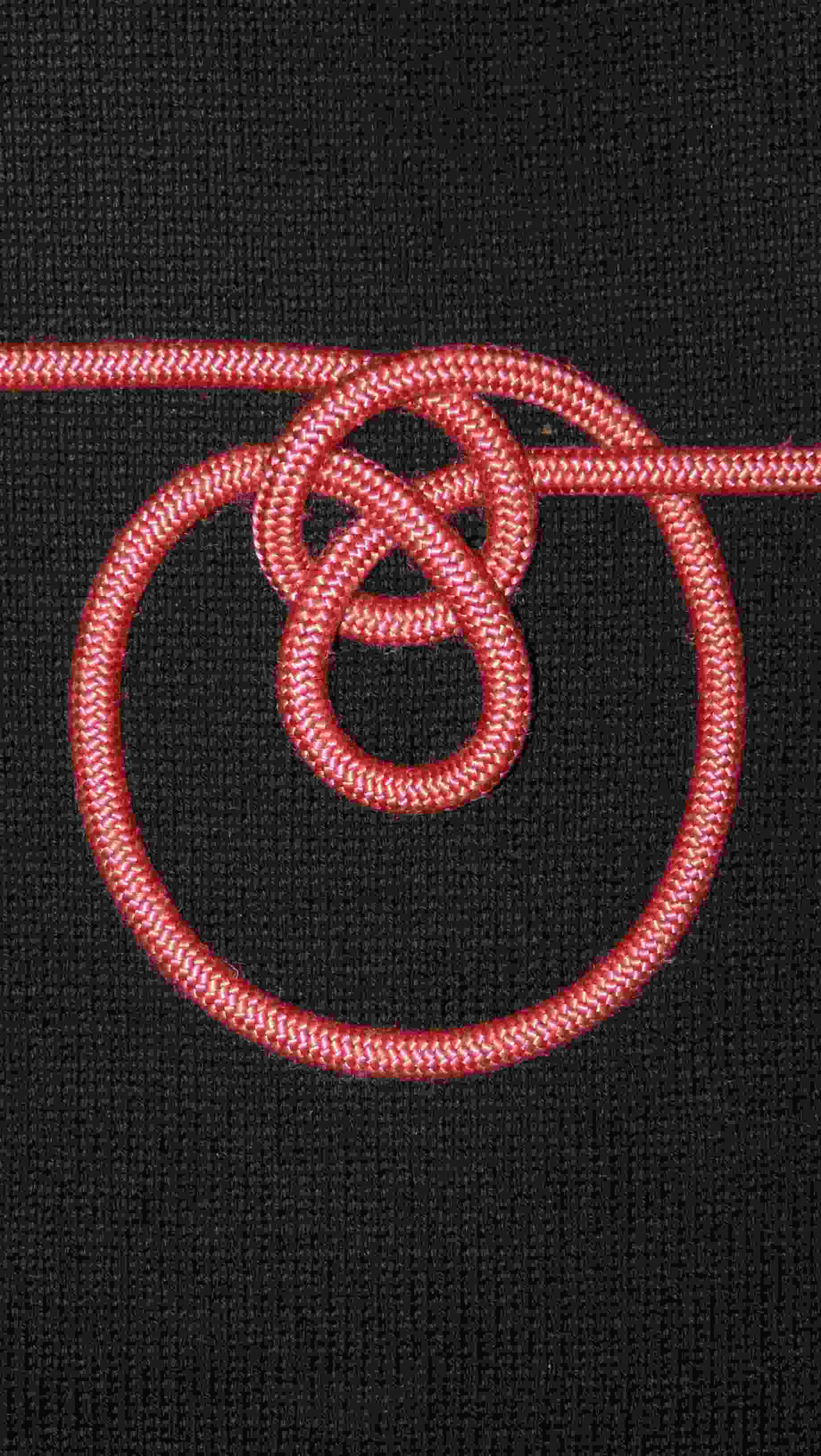 pet loop 2.JPG