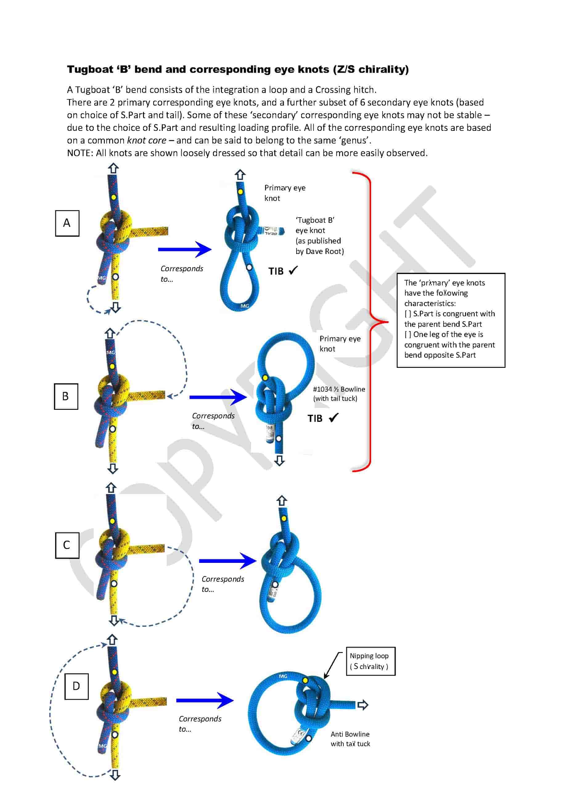 Tugboat-B-bend_corresponding eye knots-min.jpg