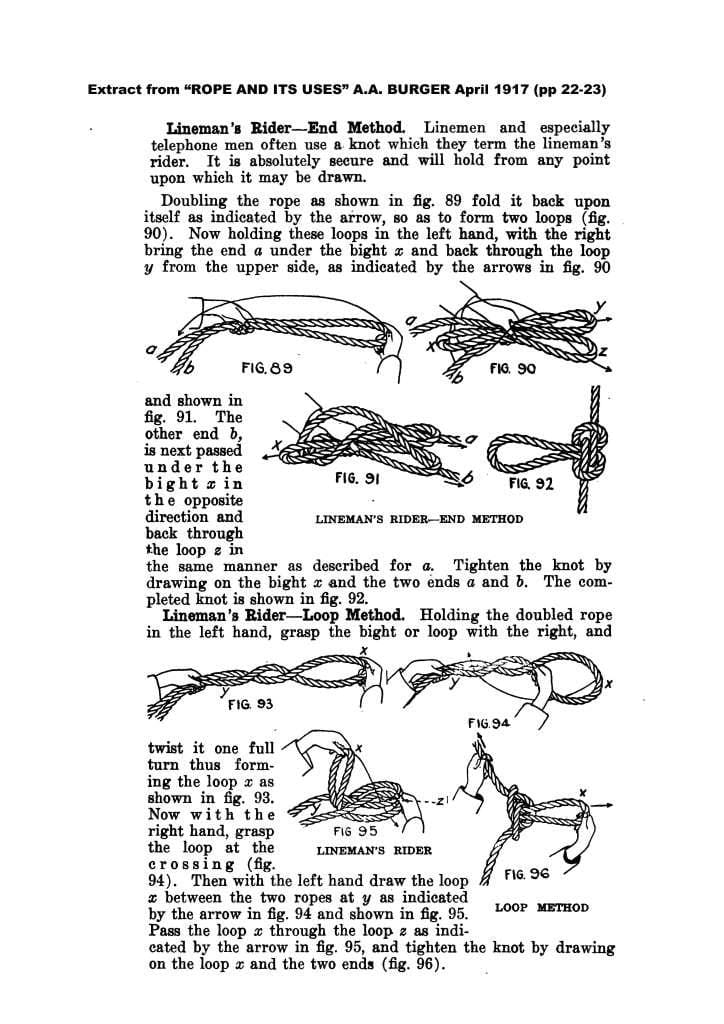 Butterfly_1053_BURGER_1917.jpg