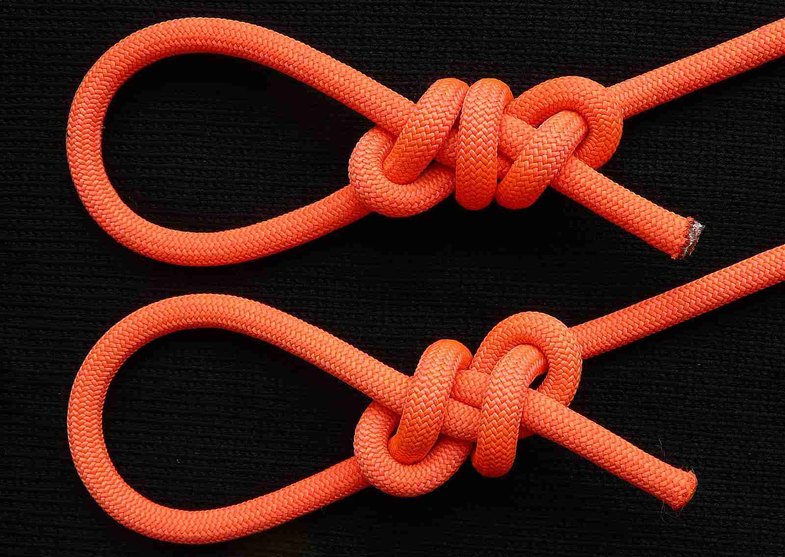 Helical loop(s) ( Constrictor )(front view).JPG