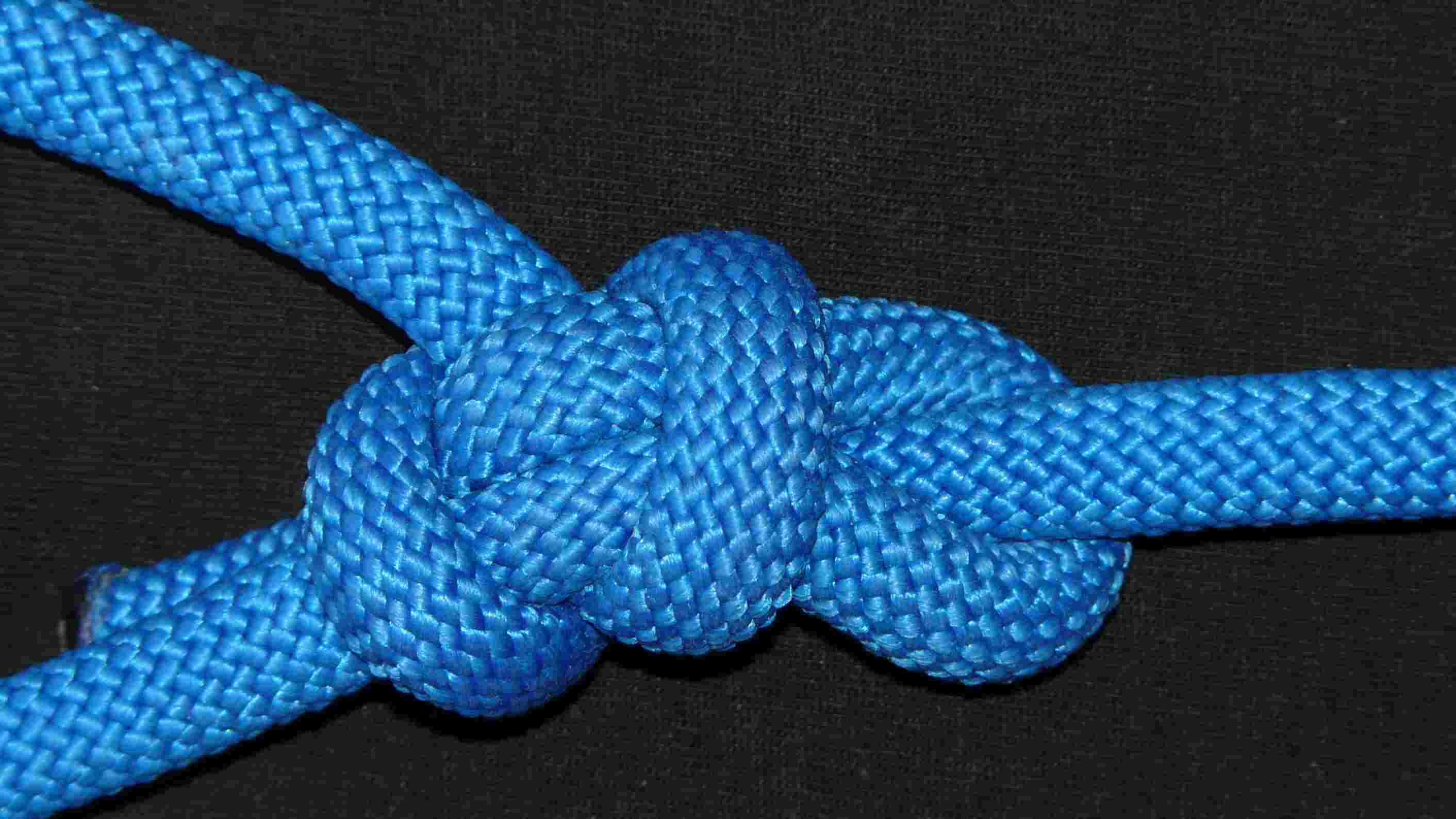 Reversed Water-Clove bowline (rear view)(detail).JPG