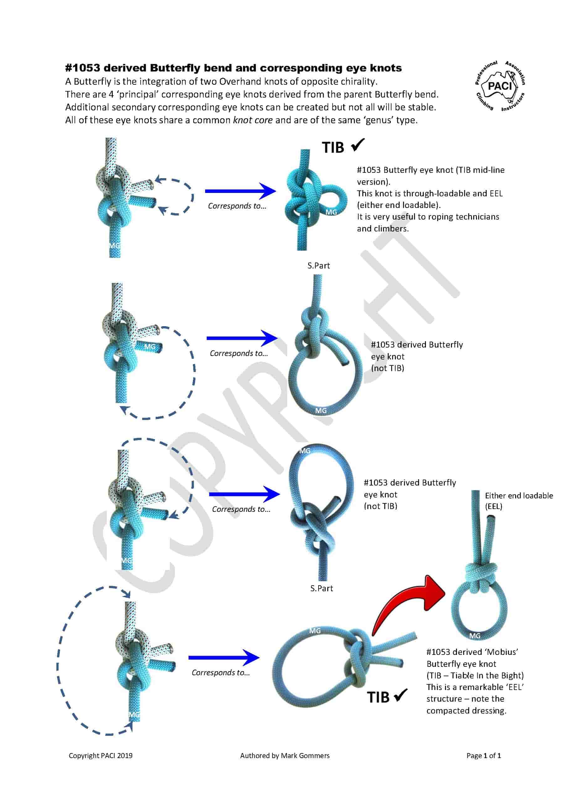 Butterfly_Corresponding_Eye-knots-min.jpg