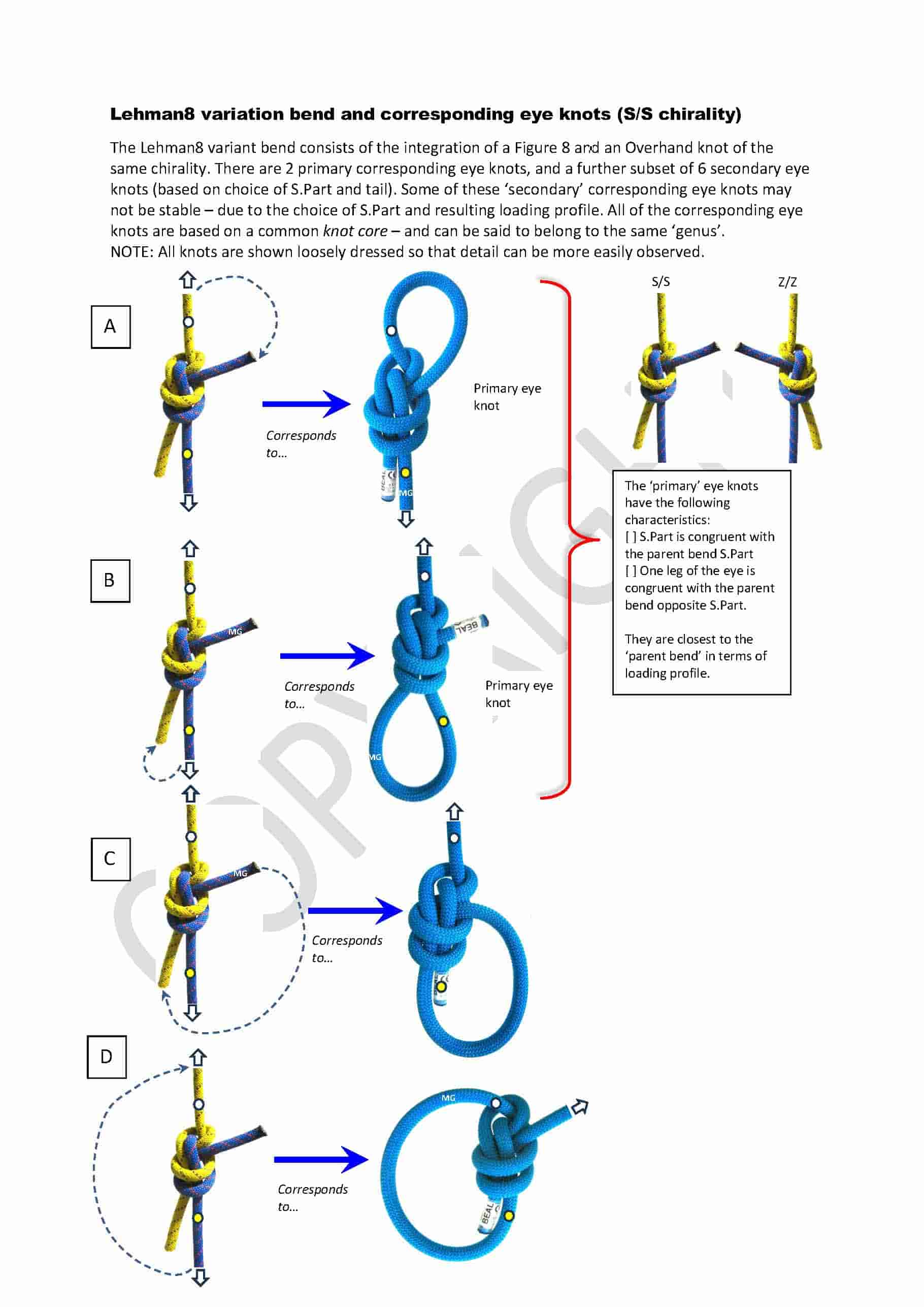 Lehman 8 bend-variation_corresponding eye knots-min.jpg