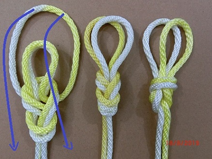 Frigure 8 knot double loop.JPG