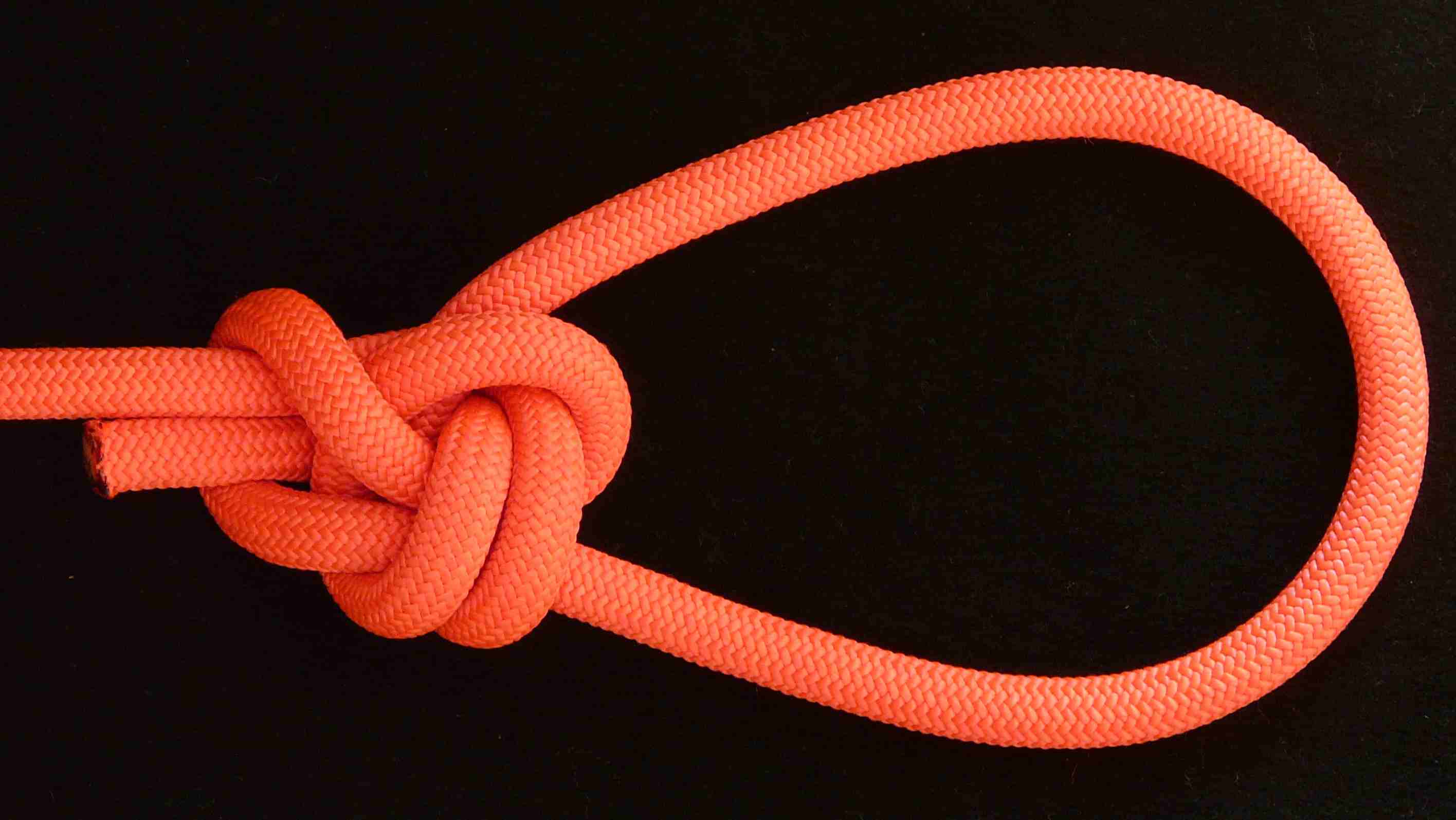 Shrank bowline-on-the-bight (compact knot)(back view).JPG