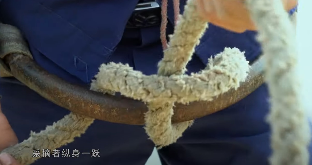 Munter hitch_China_WEB.jpg