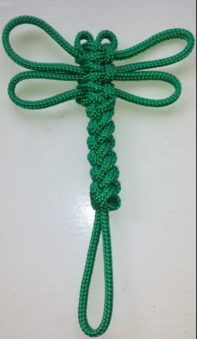 My Dragonfly.JPG