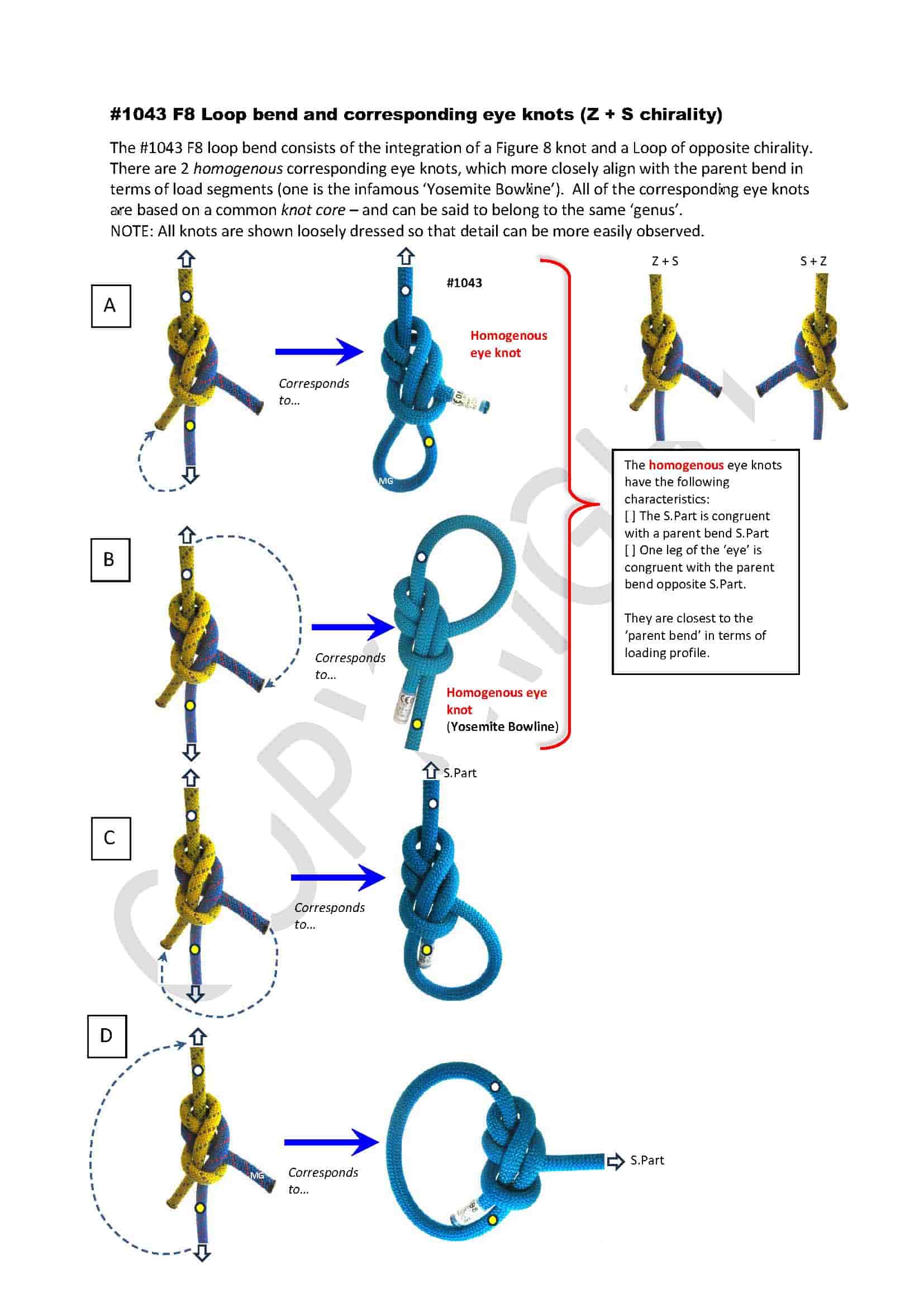 F8-Loop-bend_1043_corresponding eye knots_WEB.jpg