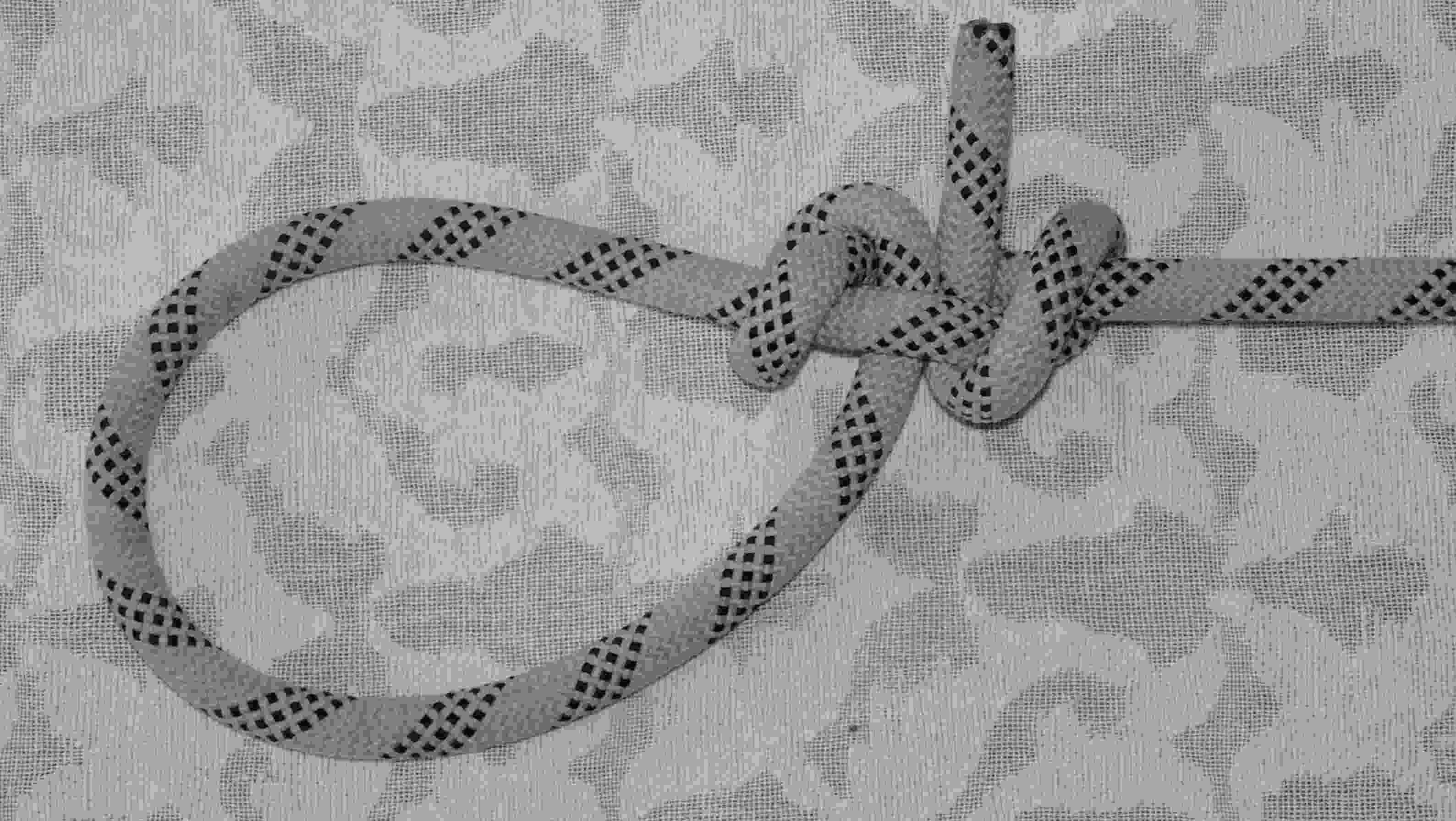 Double Harness loop (ABoK#1420)(1).JPG