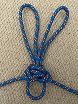 alpine butterfly.gif