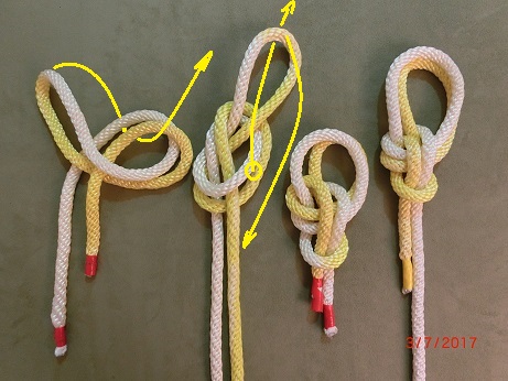 Lee's Double bowline (Right hand version).JPG