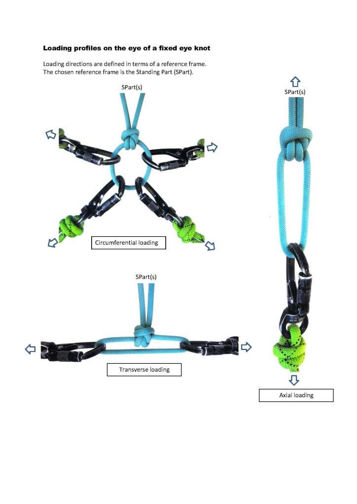 Loading profiles on the eye of a fixed eye knot.jpg