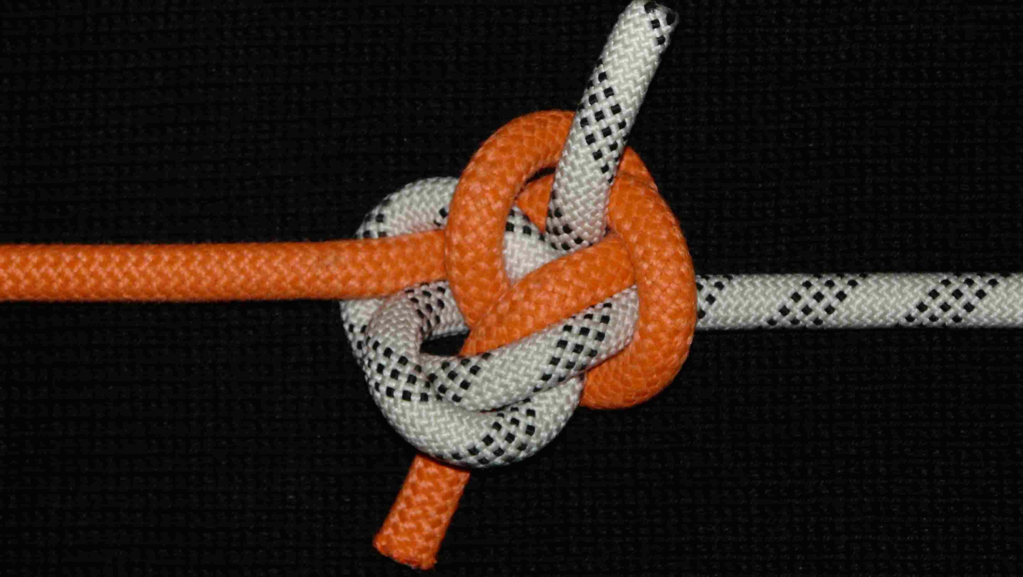 Fisherman-knot-like bend (crossed SP var.1)(front view).JPG