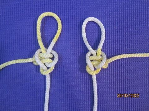 Midline loop  1  &  2.JPG