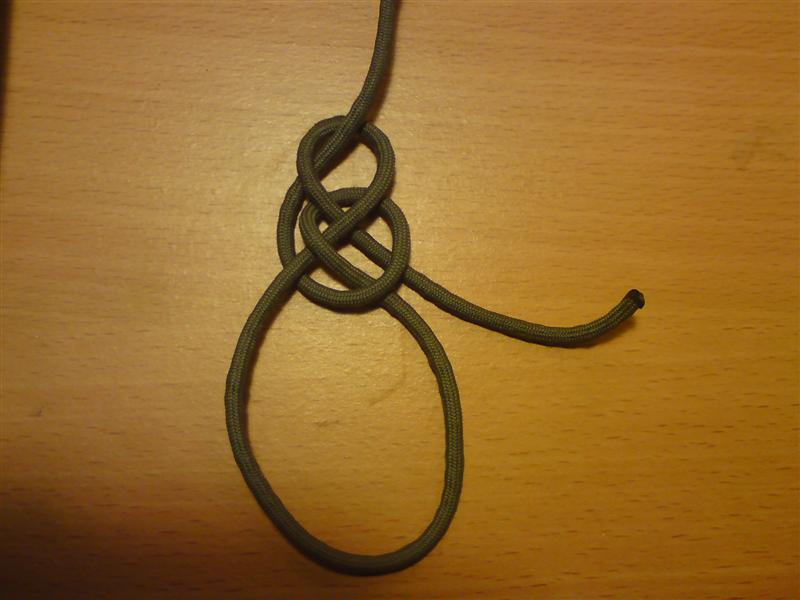 DSC00258 (Medium).JPG