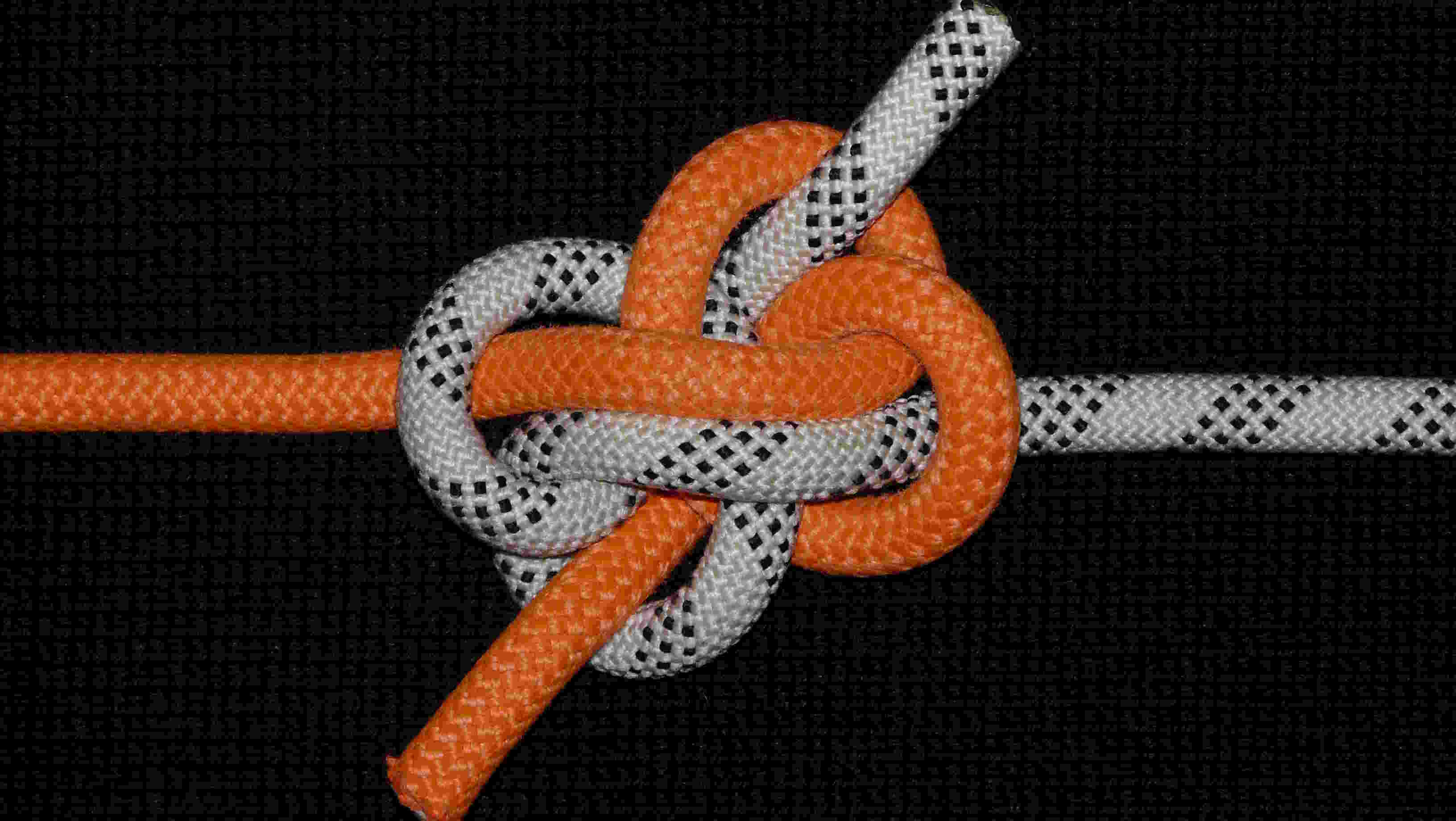 Springy bend (short-loose knot)(back view).JPG