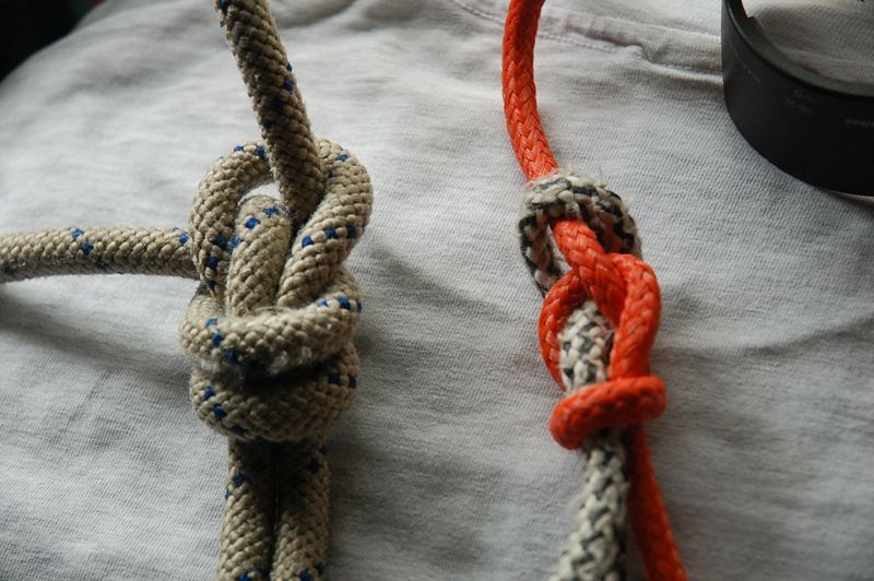 knots-Lehman8_Collared8-M800-3.jpg