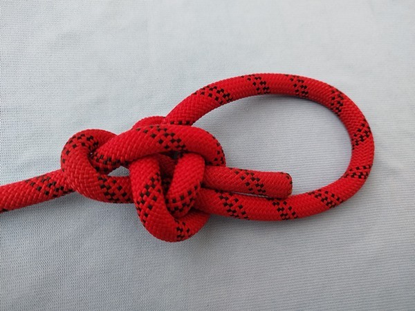 Transposed munter X bwl_back.jpg