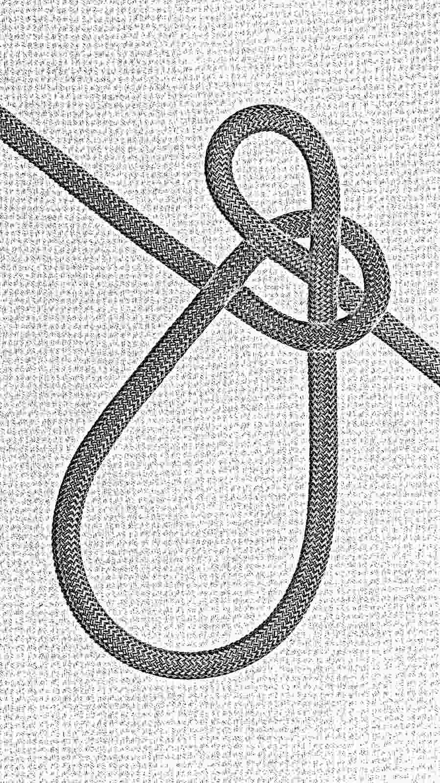 pet loop (2) - i.JPG