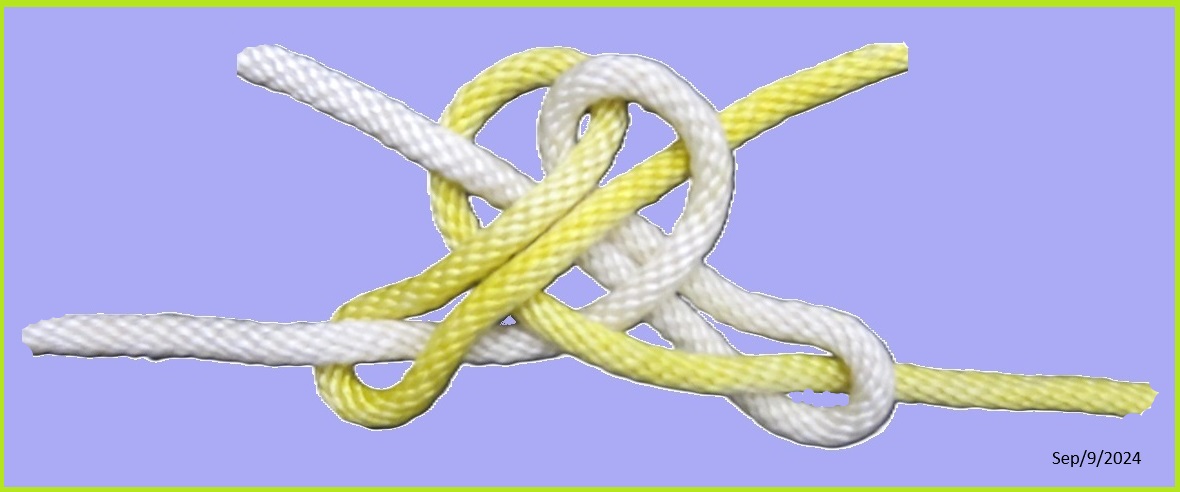 Lee's Unconventional Bend V1 loose.JPG